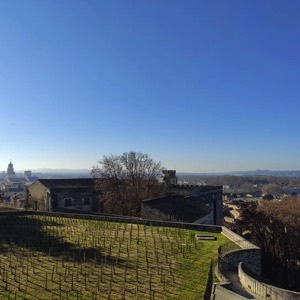 Views from Avignon 😎 (Dec 2021) #france #avignon